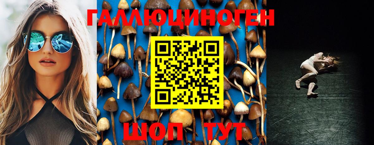 Галлюциногенные грибы Psilocybine cubensis  Вход с VPN  Галлюциногенные грибы Psilocybine cubensis  Котлас 