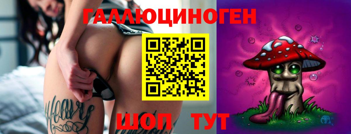 Псилоцибиновые грибы мицелий Котлас